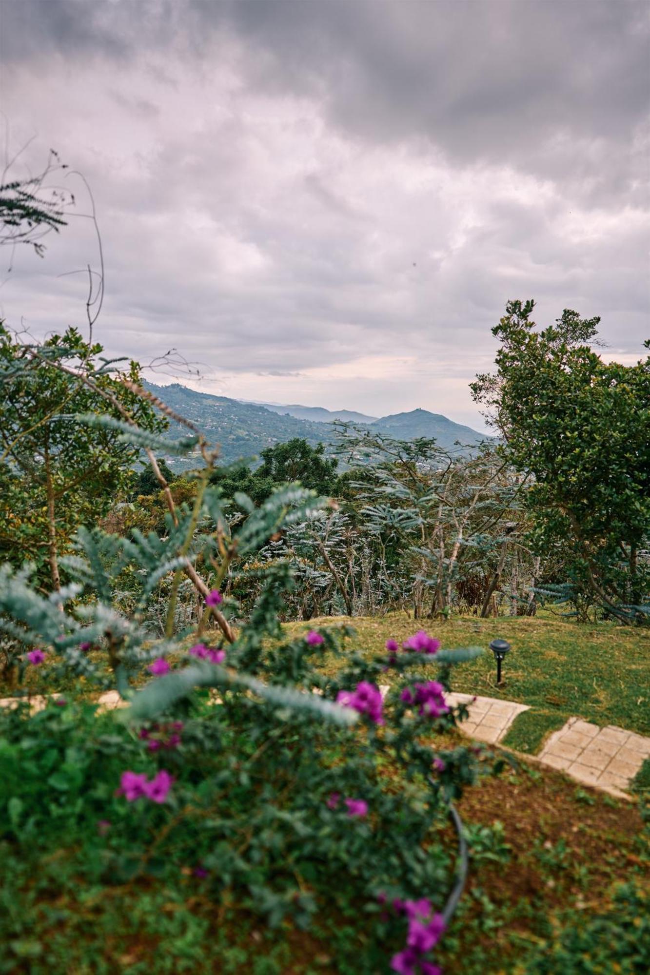 Eucaliptus Spa Resort Dapa Bagian luar foto